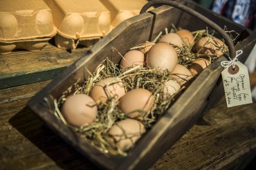 giddy grocer fresh eggs - Daniel Cobb - Locally grown
