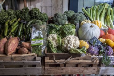 giddy grocer vegetables - Daniel Cobb - Locally grown