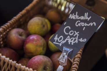 millars general store cox apples - Daniel Cobb - Locally grown