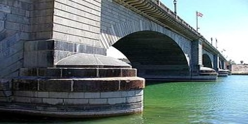 The London Bridges walk sponsored by Kidney Research UK is a Summer event residents of Westminster properties are signing up for 