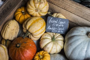 giddy grocer pumpkins - Daniel Cobb - Locally grown