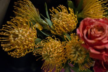 Igloo Flowers Yellow Red - Daniel Cobb - Locally grown