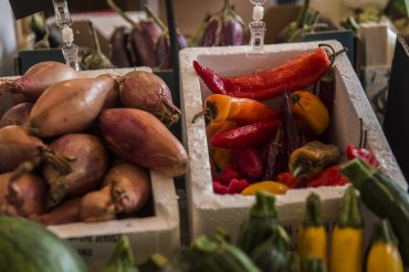 millars general store onions peppers - Daniel Cobb - Locally grown